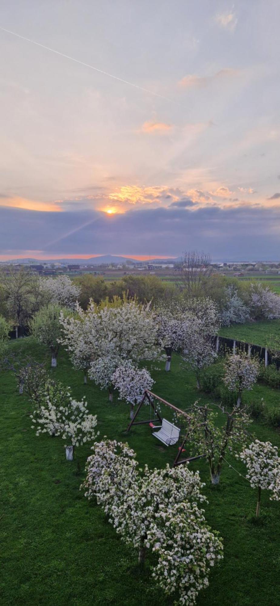 Hotel Stupina Braşov Esterno foto