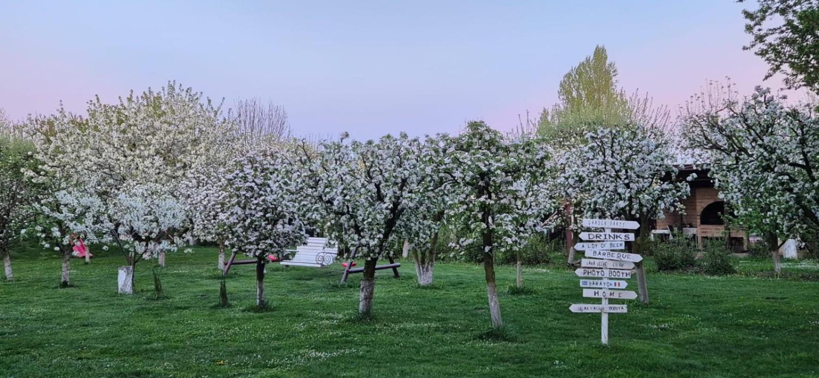 Hotel Stupina Braşov Esterno foto