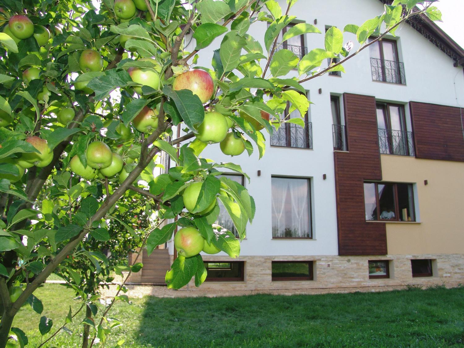 Hotel Stupina Braşov Esterno foto