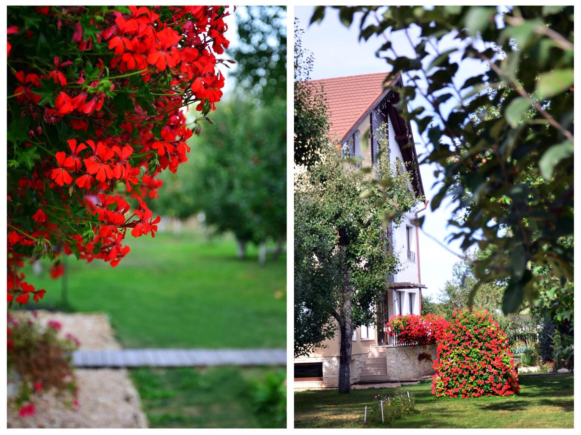 Hotel Stupina Braşov Esterno foto